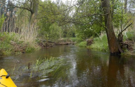 spływ rzeką Oleśnicą