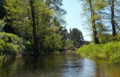 spływ rzeką Grabią