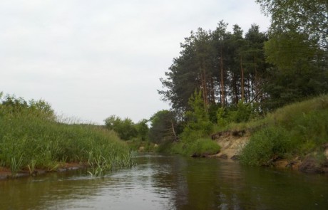 spływ rzeką Grabią