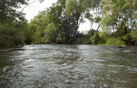 spływ rzeką Widawką